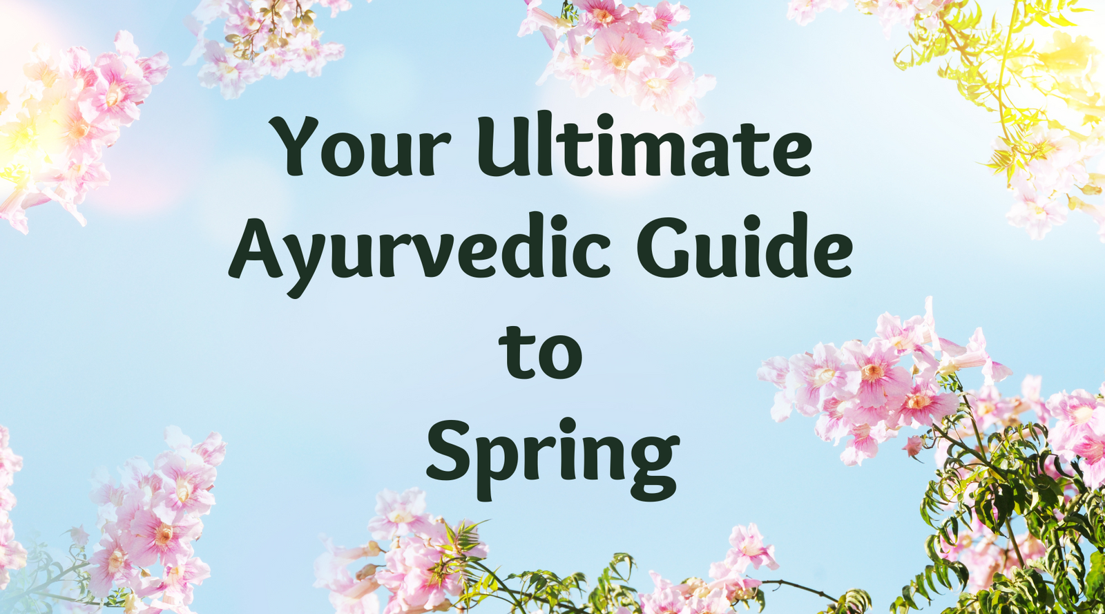 Spring Wellness in Ayurveda: A Seasonal Guide