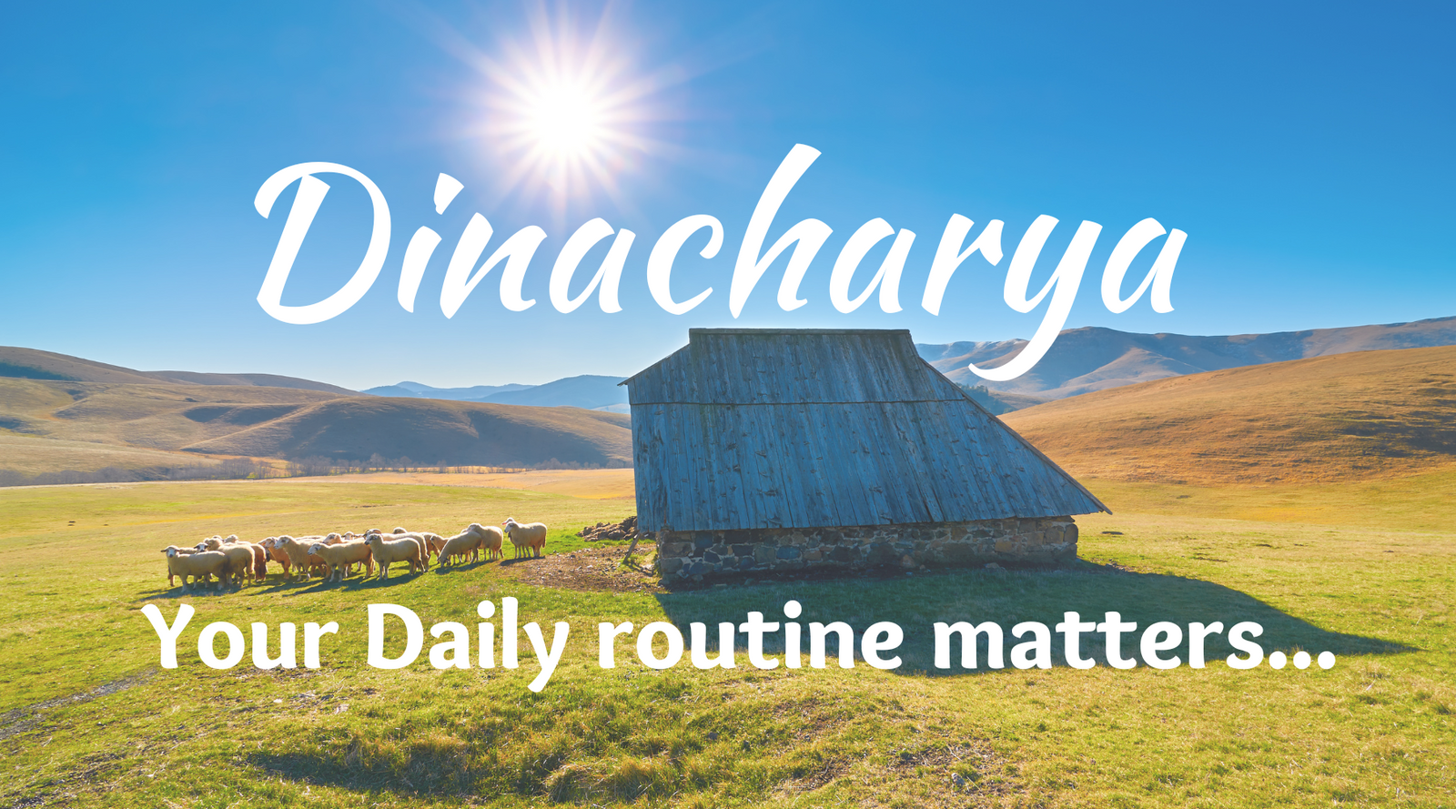 Dinacharya: The Ayurvedic Daily Routine for Self Care