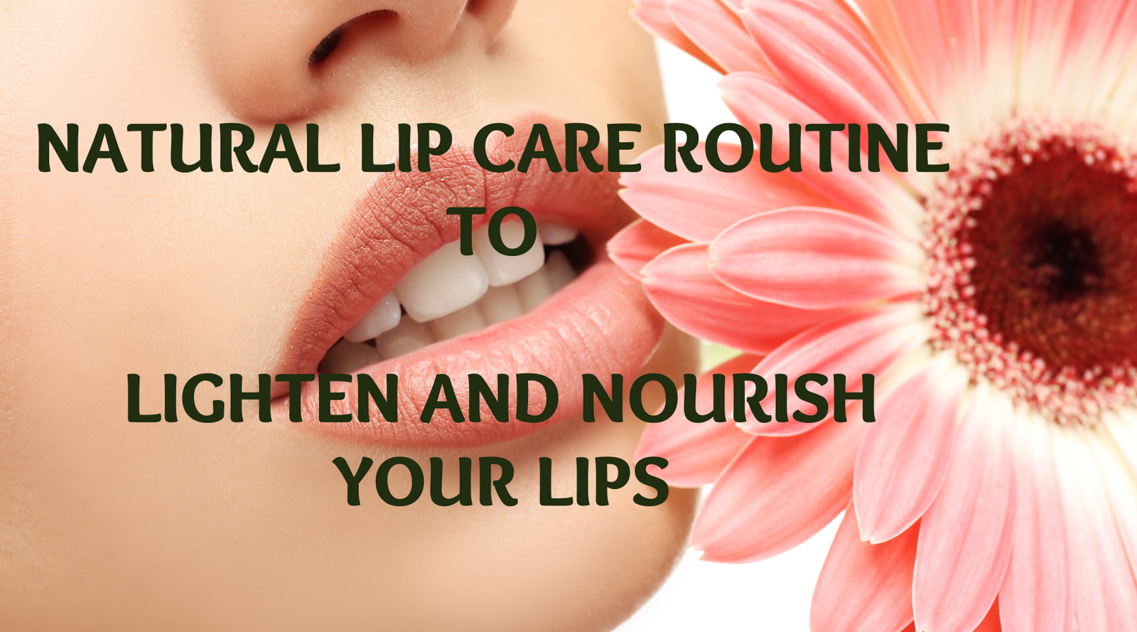 Lip Care in Ayurveda: A Daily Practice for Nourished Lips