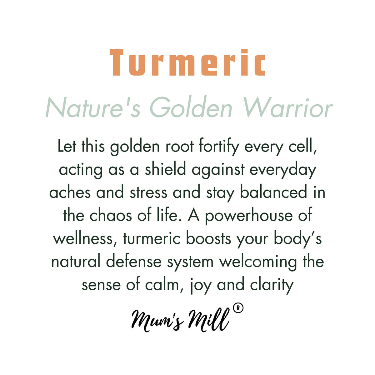 Turmeric Treasures Latte Bundle (2 months of lattes!)